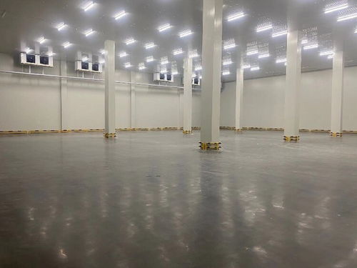 货运物流中的信誉与专业服务 化工品、冷链整车与零担运输解析